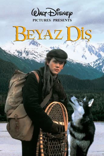 Beyaz Diş