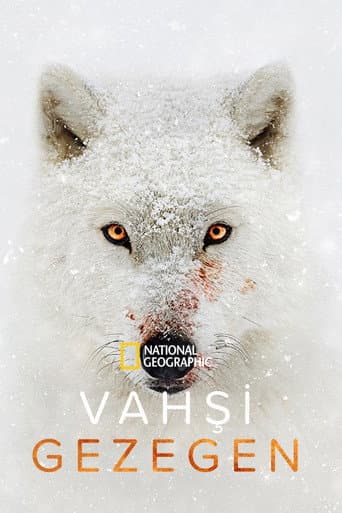 Vahşi Gezegen