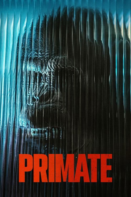 Primate